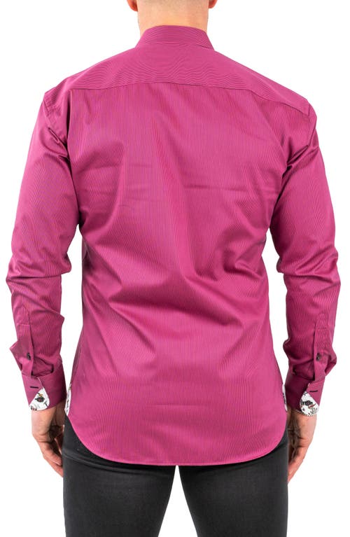 Maceoo Einstein Jacqstripes Purple Button-up Shirt In Purple