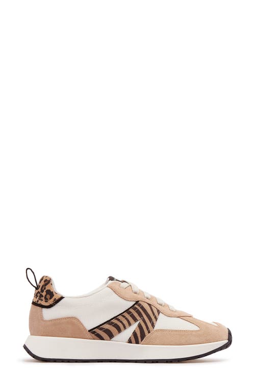 Frankie4 Axel Ii Sneaker In Multi