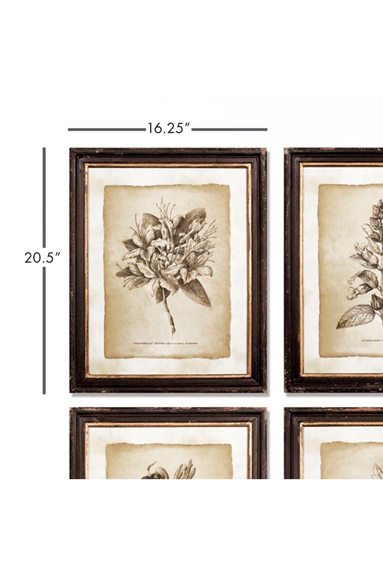Framed Vintage Floral Prints Set of 6, Alternate, color, Black