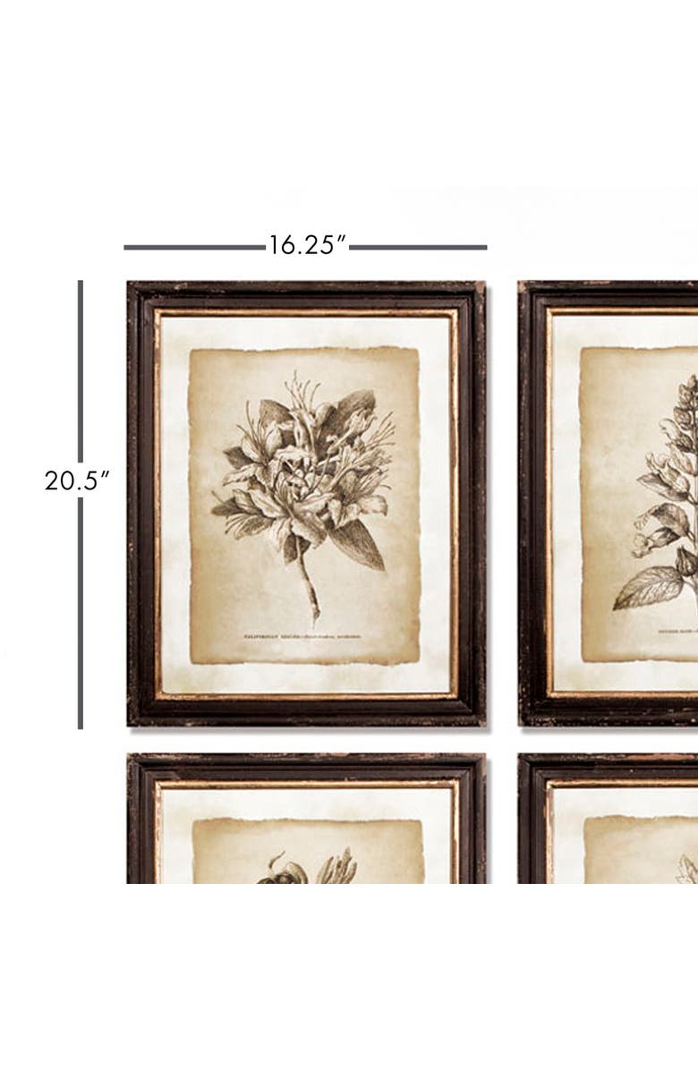 Napa Home & Garden Framed Vintage Floral Prints Set of 6, Alternate, color,