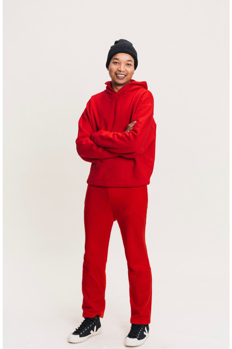 Men's Organic Cotton Teddy Oversized Hoodie, Alternate, color, Pop