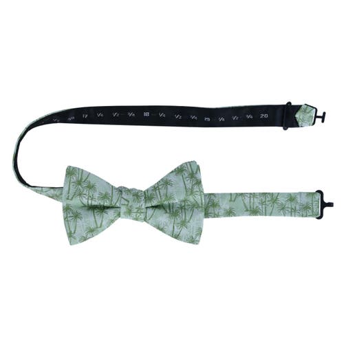Trafalgar Nohea Palm Tree Linen Blend Novelty Bow Tie In Green