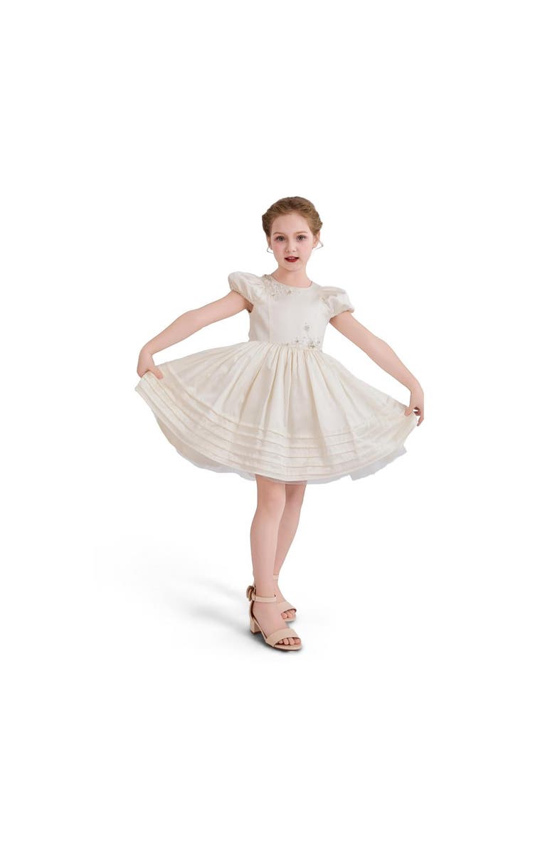 Tulleen Embroidered Pleated Dress, Alternate, color, Ivory