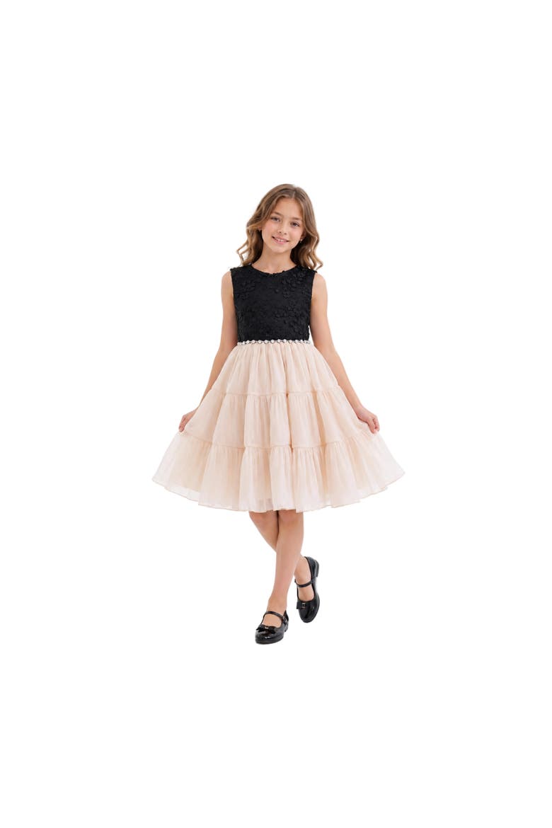 Veyona Lace Tulle Dress, Alternate, color, Black