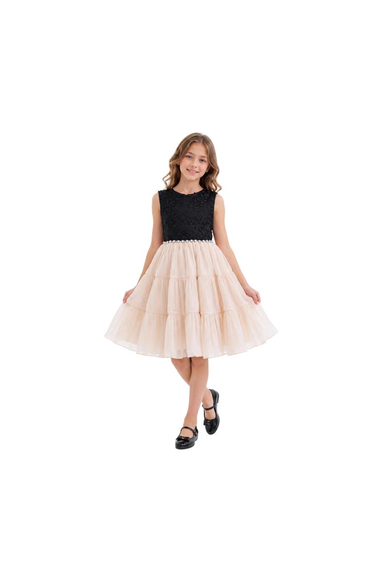Tulleen Veyona Lace Tulle Dress, Alternate, color, Black