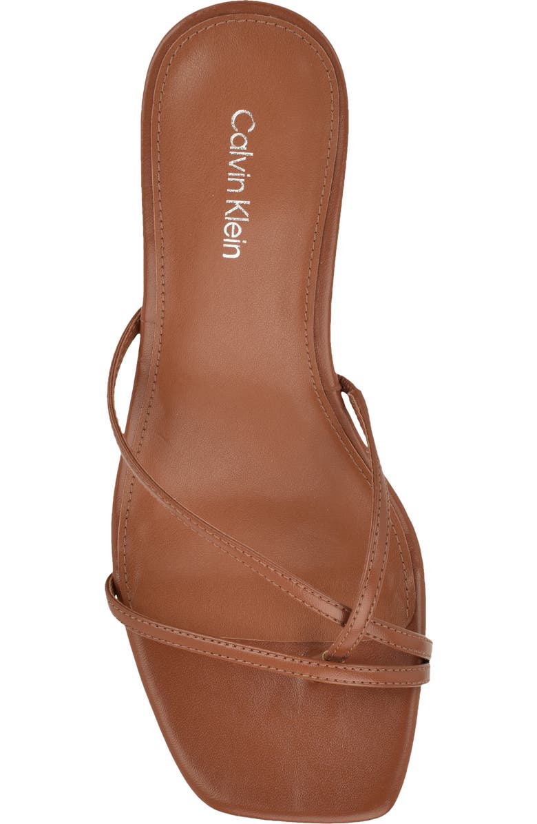 Calvin Klein Axella Toe Loop Sandal, Alternate, color, Dark Natural