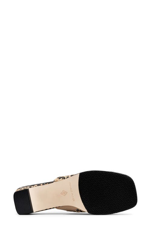 Donald Pliner Leopard Spot Slide Sandal In Black