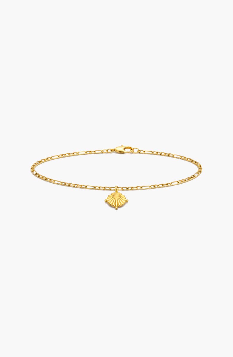 YOJ Conchigla Figaro Bracelet In Gold, Alternate, color, Gold