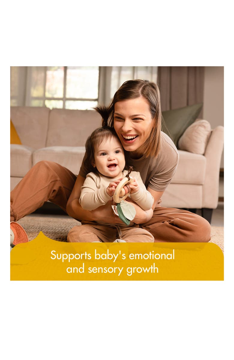 TINY LOVE Soft Bunny Lovey & Wooden Rattle Set, Alternate, color, Garden Of Adventure Collection