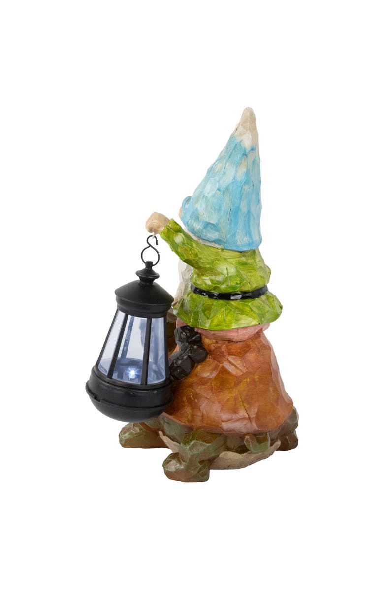 Northlight 12.5" Solar LED Lighted Gnome and Turtle Outdoor Garden Statue, Alternate, color, Brown