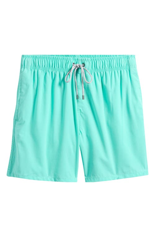 Vintage Summer Volley Swim Trunks