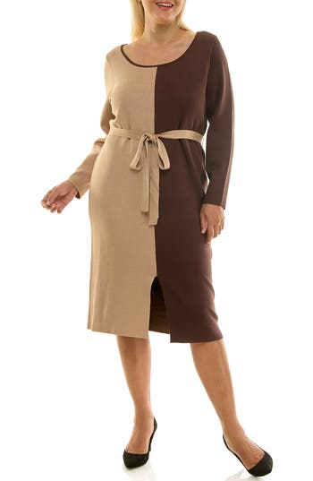 Nina Leonard Boat Neck Long Sleeve Colorblock Sweater Dress In Brown