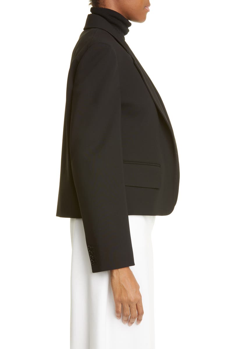 Max Mara Oreste Crop Jersey Jacket, Alternate, color,