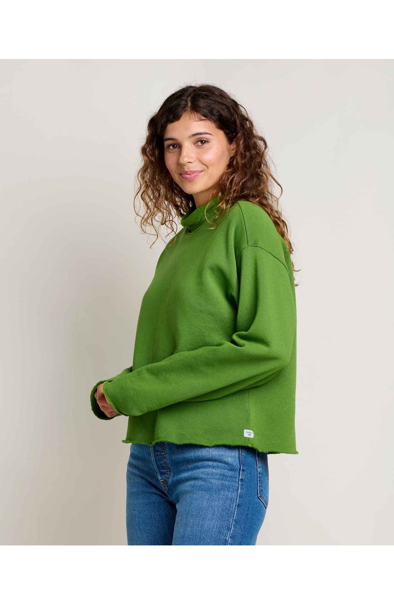 Toad & Co Fernscape Roll Neck Pullover, Main, color, 