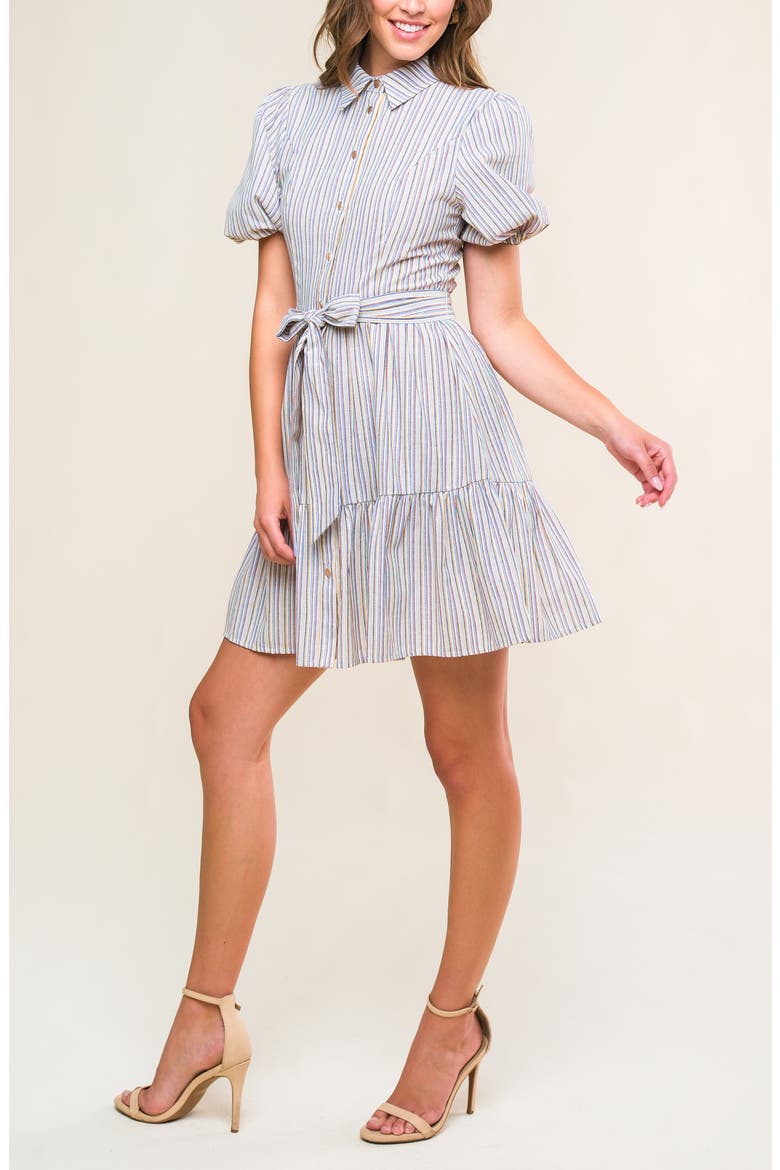 Stripe Puff Sleeve Fit & Flare Shirtdress, Alternate, color, WHITE/ BLUE/ BROWN