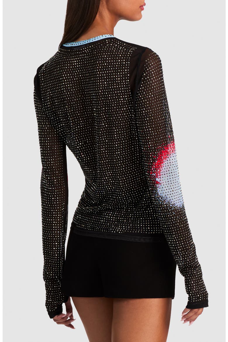 Delaina Embellished Long Sleeve Mesh Top, Alternate, color, HAPPY DOWN THE LINE