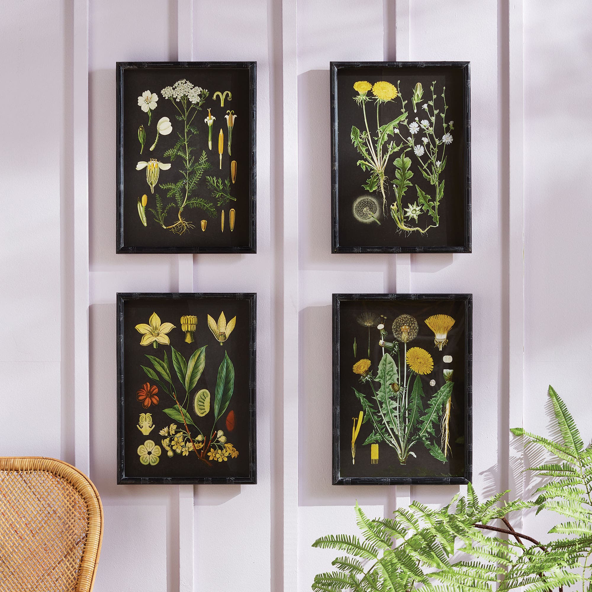 Napa Home & Garden Golden Botanical Study Set of 4 | Nordstrom