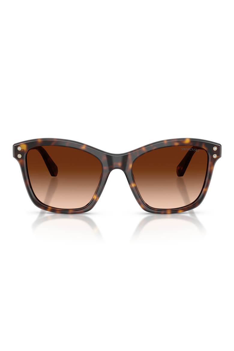 54mm Gradient Square Sunglasses, Main, color, HAVANA / GRADIENT BROWN