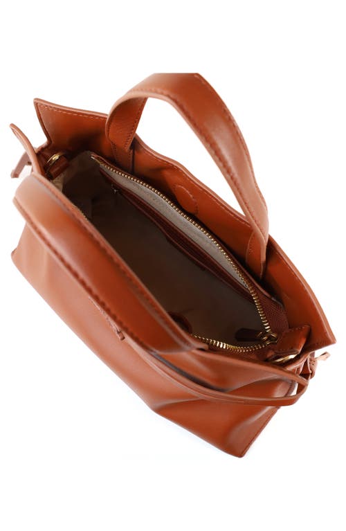 Sam Edelman Small Poppy Drawstring Leather Crossbody Bag In Brown