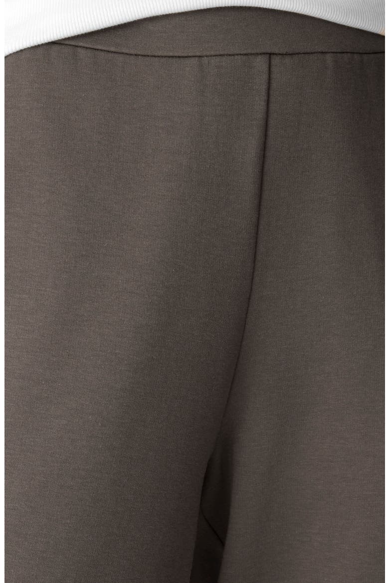 Slouch Ankle Pants, Alternate, color, COBBLESTONE