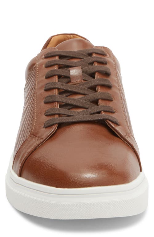 Steve Madden Strouz Low Top Sneaker In Brown