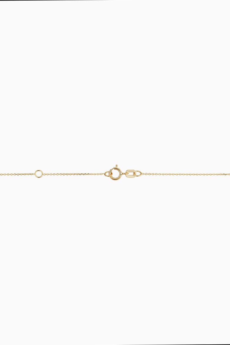 14K Yellow Gold Greek Lion Medallion Necklace, Alternate, color, Yellow Gold