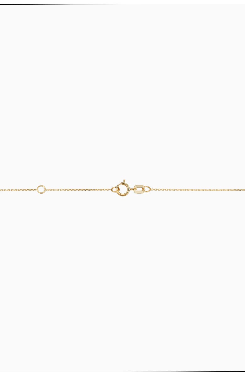 Oradina 14K Yellow Gold Greek Lion Medallion Necklace, Alternate, color, Yellow Gold