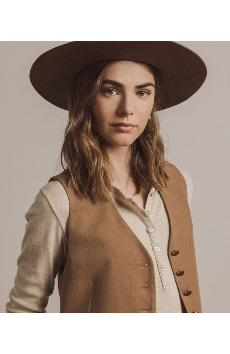 Fortela Lou Merino Wool Henley Knit, Alternate, color, Camel