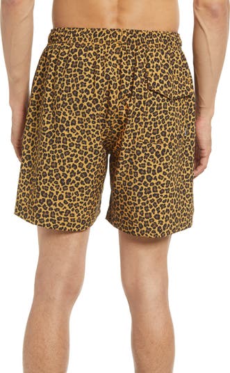 PURPLE Leopard Print Swim Trunks
