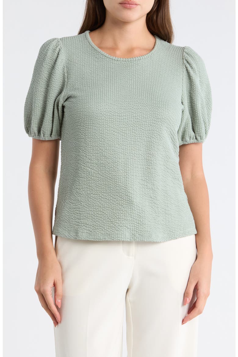 Rib Textured T-Shirt, Main, color, Q163 NEW SAGE