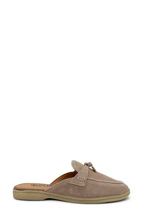 Shop Chelsea Crew Lasso Mule Loafer
