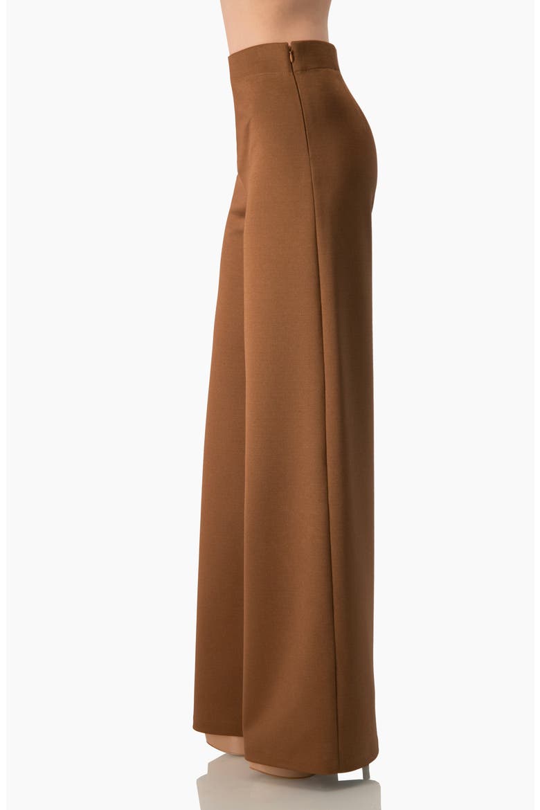 High-Rise Wide-Leg Pants with Back Darts, Alternate, color, Camel
