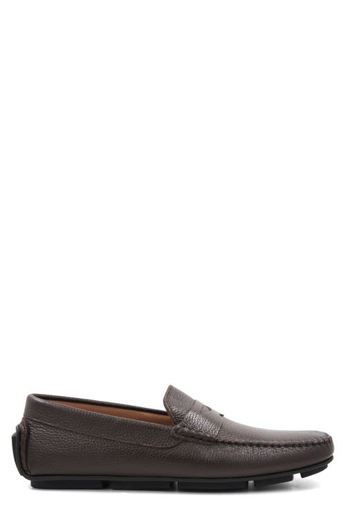 Bruno Magli Taranto Penny Loafer In Brown Tumbled