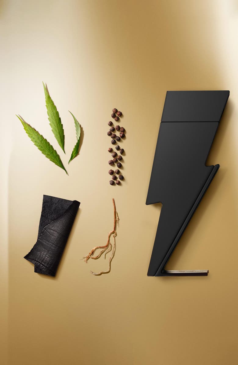 Carolina Herrera Bad Boy Le Parfum Set USD $148 Value, Alternate, color,