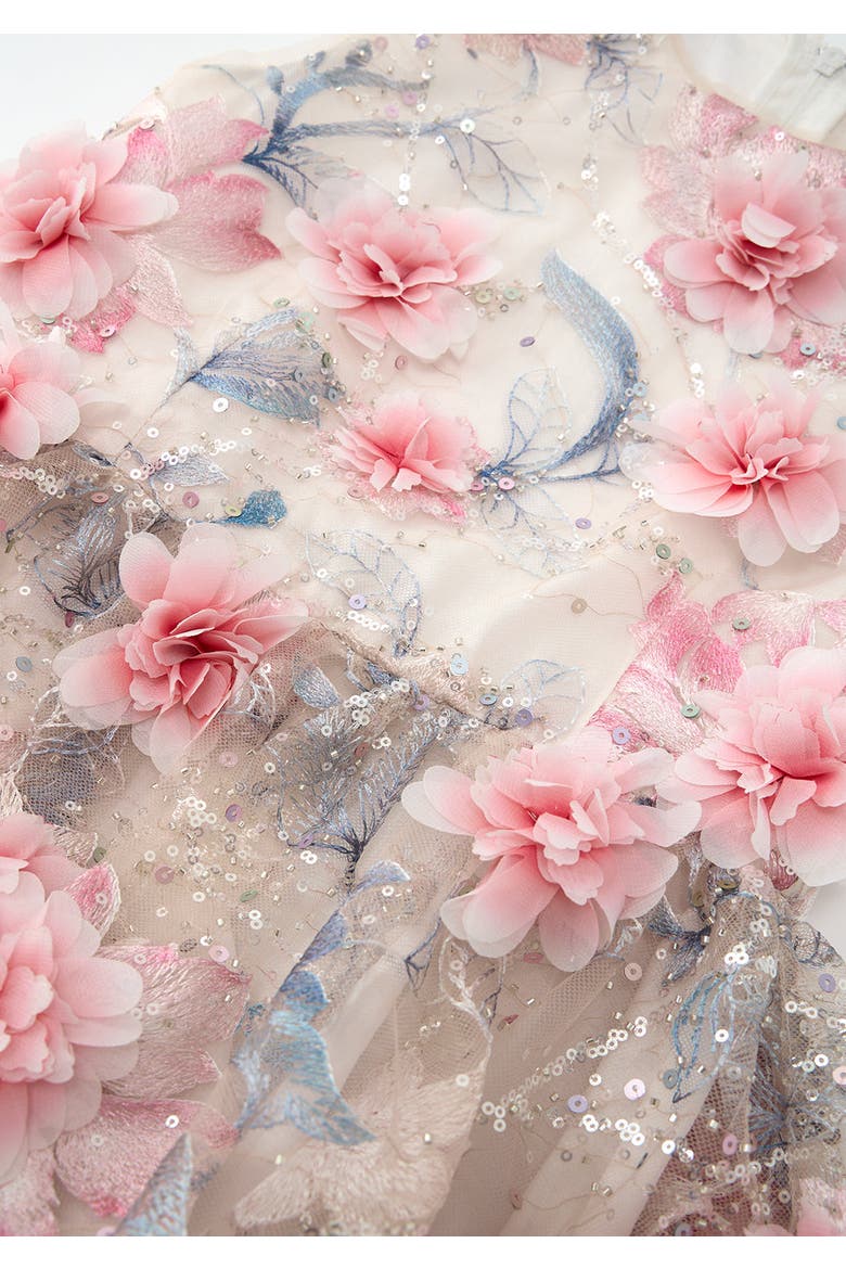 Rosalia Embroidered Mini Dress, Alternate, color, Floral