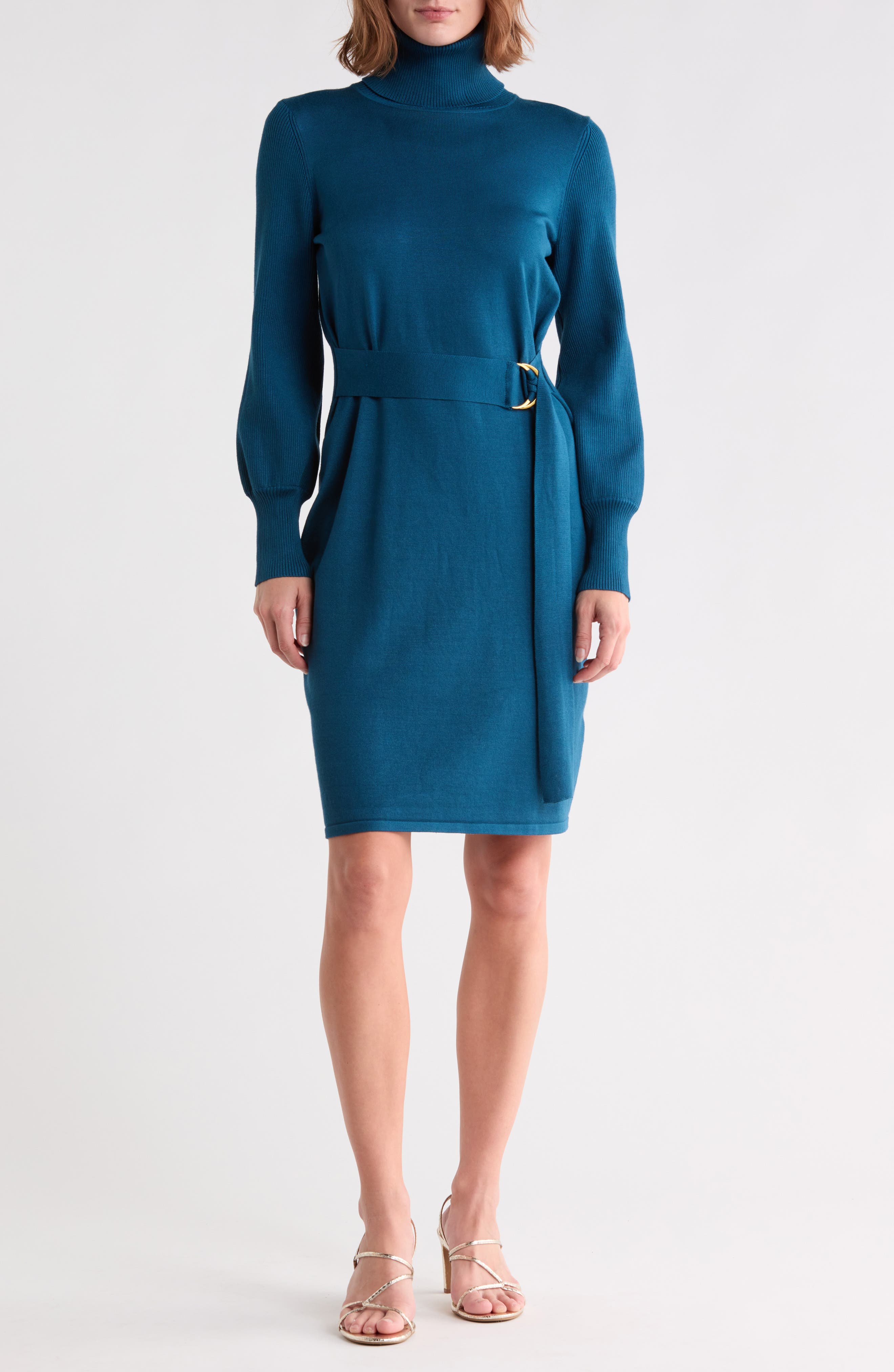 Turtleneck Long Sleeve Belted Sweater Dress