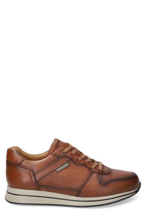 Mephisto Gerome Sneaker In Brown
