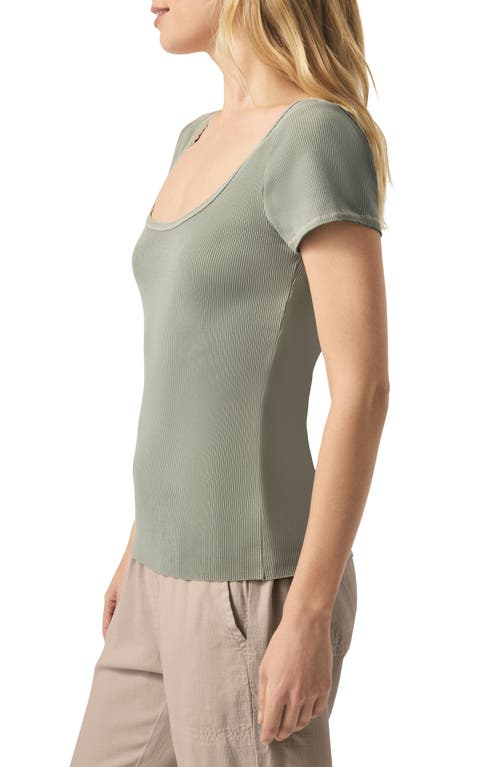 Splendid Posie Scoop Neck Ribbed T-shirt In Softvintage Olive Branch
