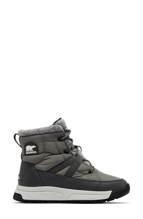 Sorel Whitney Iii Waterproof Mid Boot In Multi