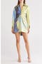 Roma Long Sleeve Draped Minidress