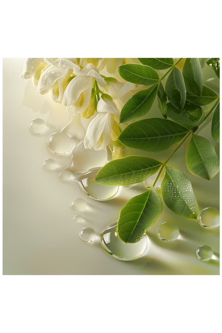Complexe Énergisant Deep Leave-In Treatment for Thinning Hair, Alternate, color, NO COLOR