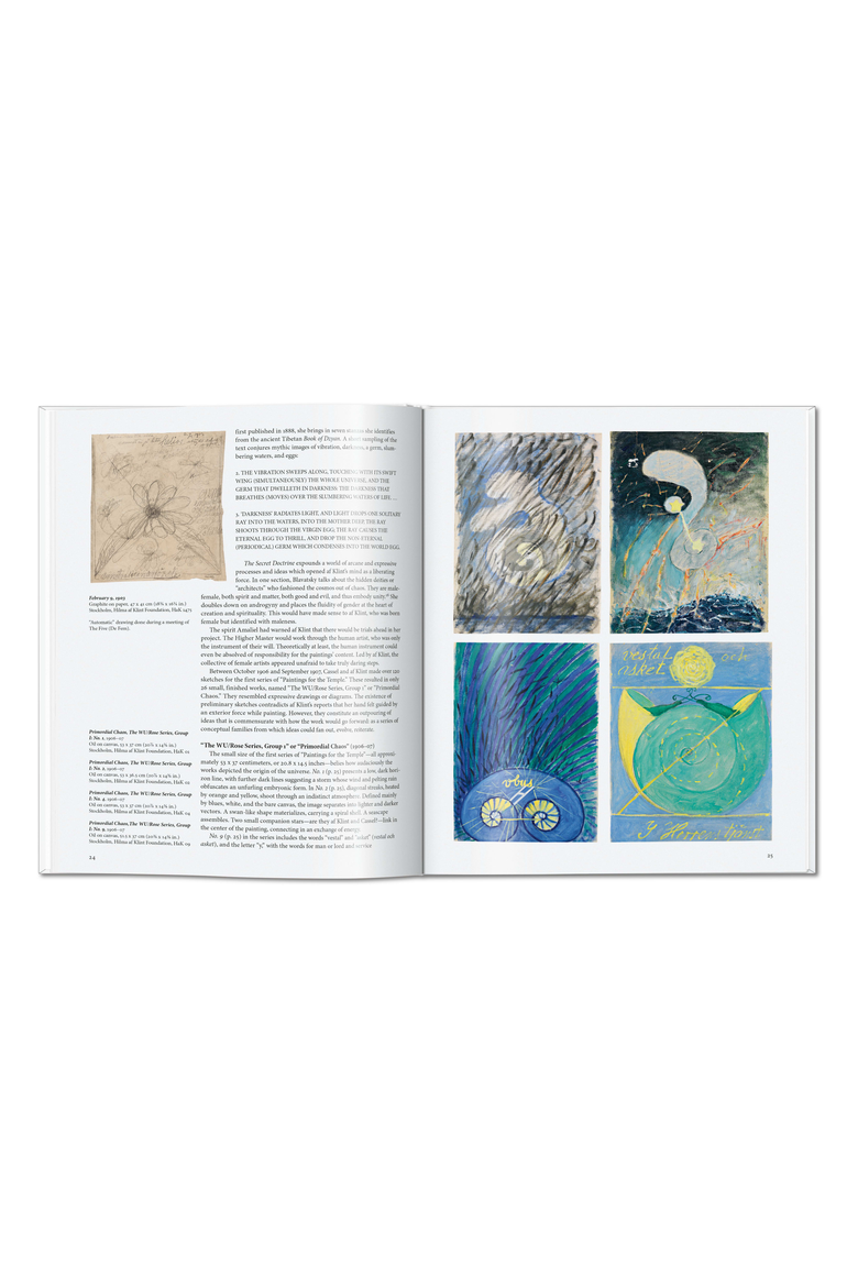 Hilma af Klint Book, Alternate, color, White
