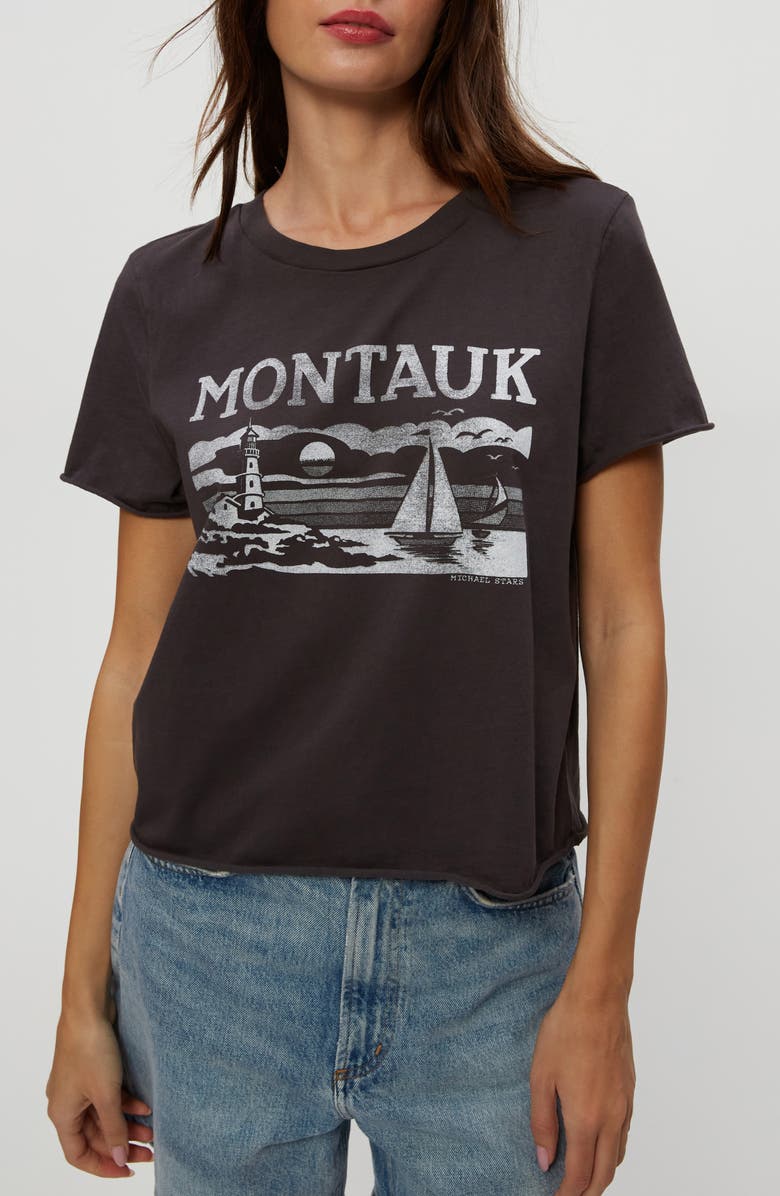 Michael Stars Montauk Graphic T-Shirt, Main, color, Oxide