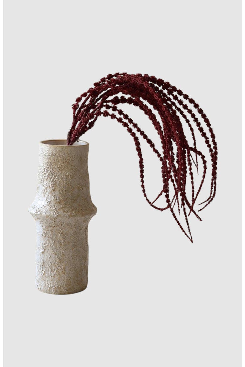 Red Amaranthus Caudatus Dreadlocks Flower, Main, color, Red