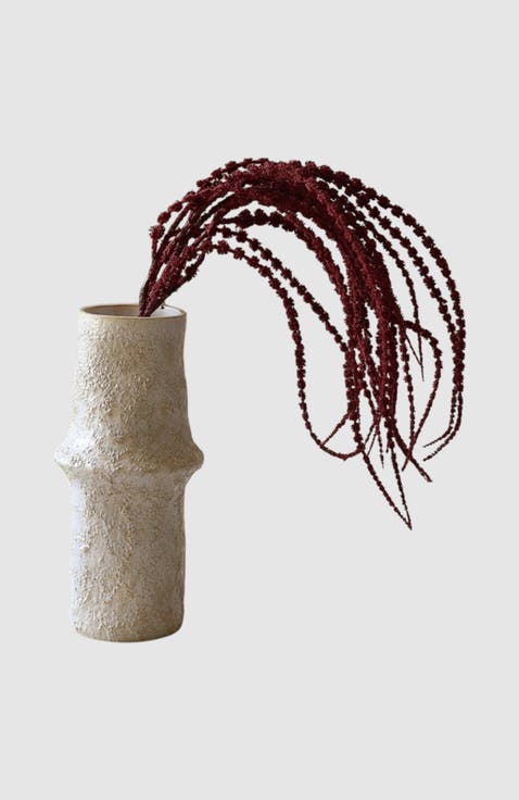 Red Amaranthus Caudatus Dreadlocks Flower