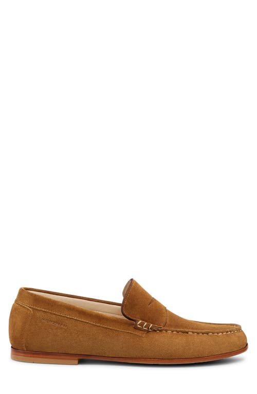 Stuart Weitzman Brady Penny Loafer In Camel Tan