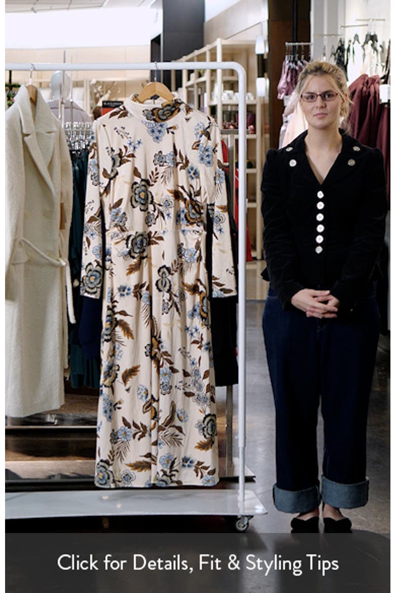 Floral Long Sleeve Velvet Dress video