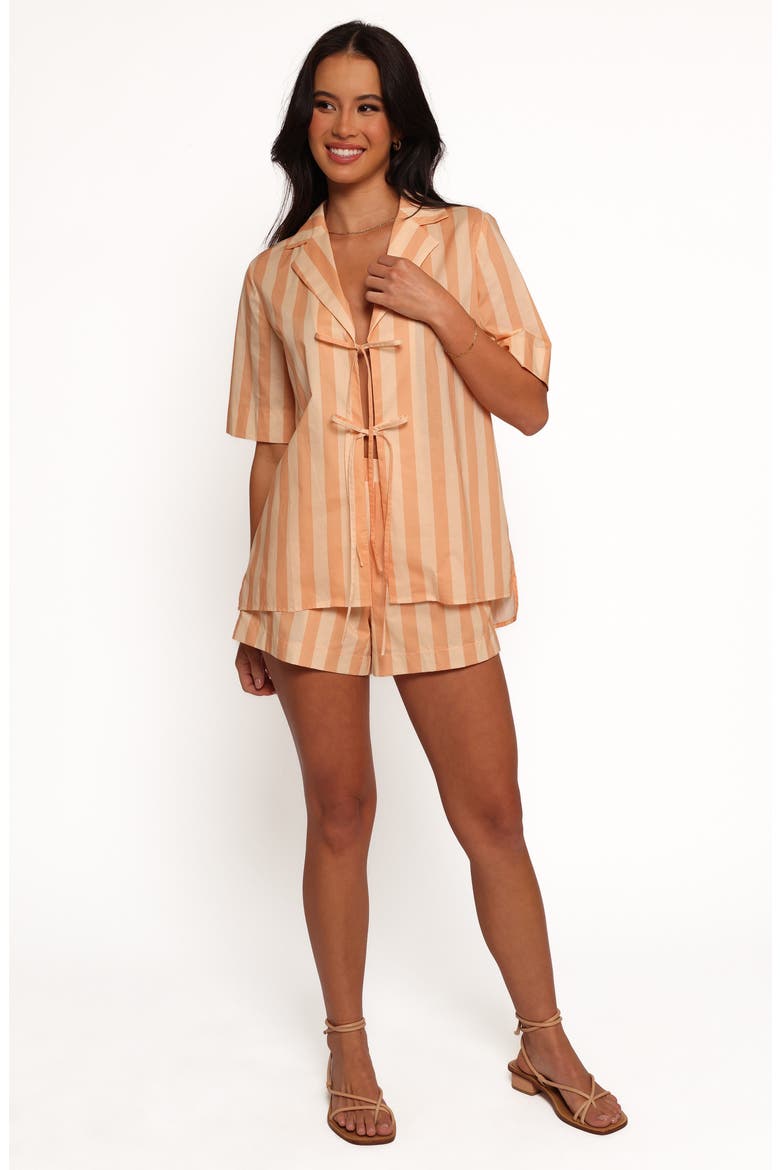 Essie Stripe Cotton Tie Front Shirt, Alternate, color, TERRACOTTA STRIPE