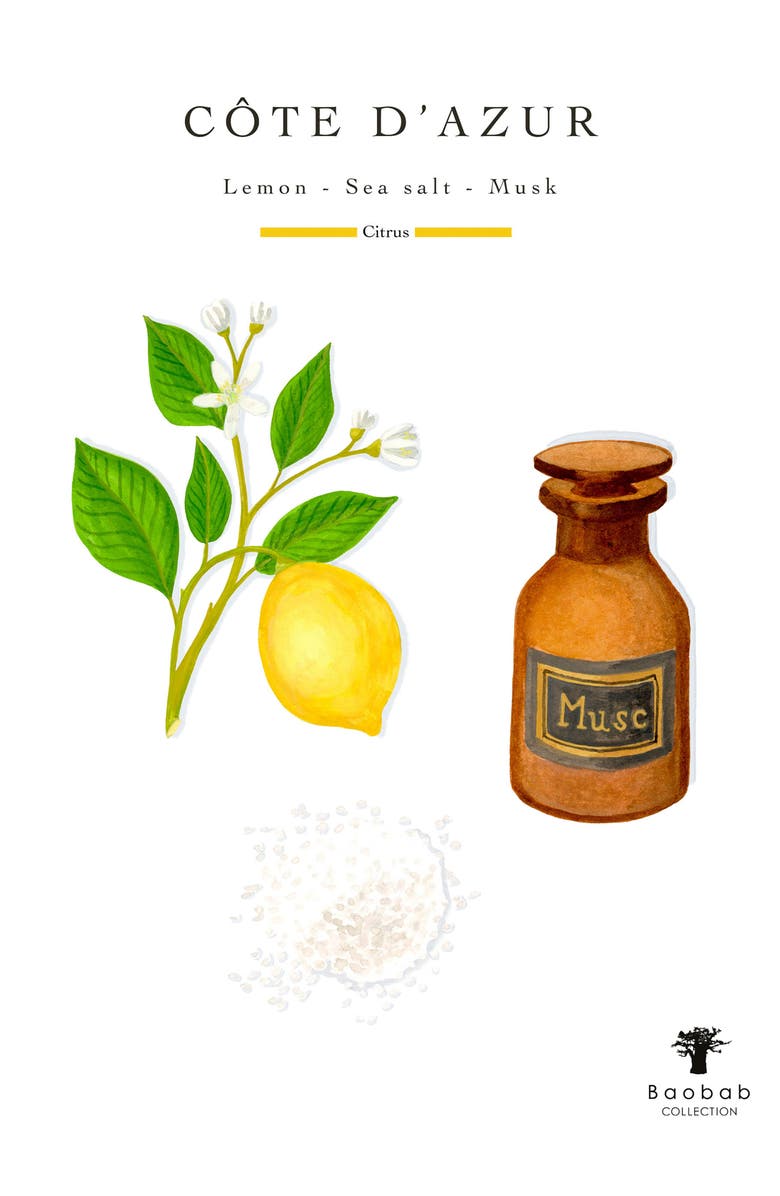 Baobab Collection Côte de d'Azur Scented Candle, Alternate, color, White Multi