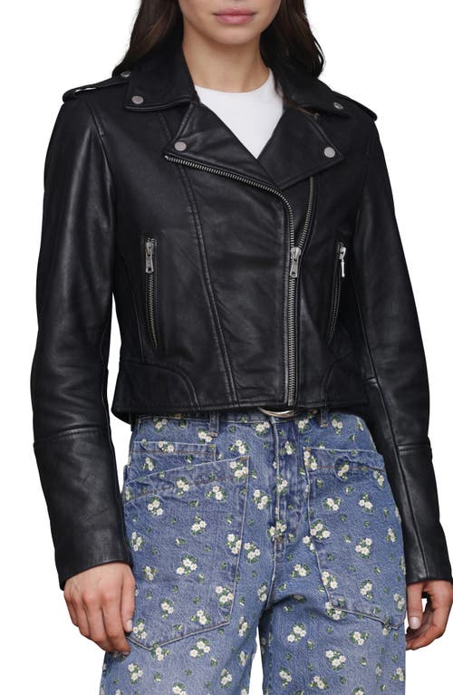 Avec Les Filles Leather Biker Jacket